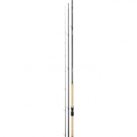 Canne Daiwa Tournament Toc