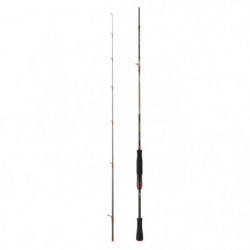 Canne Daiwa Tournament...