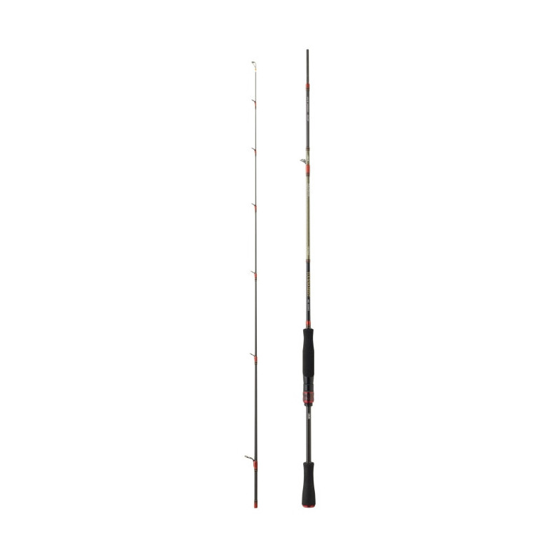 Canne Daiwa Tournament Verticale AGS