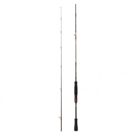 Canne Daiwa Tournament Verticale AGS