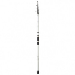 Canne Daiwa Triforce Buscle