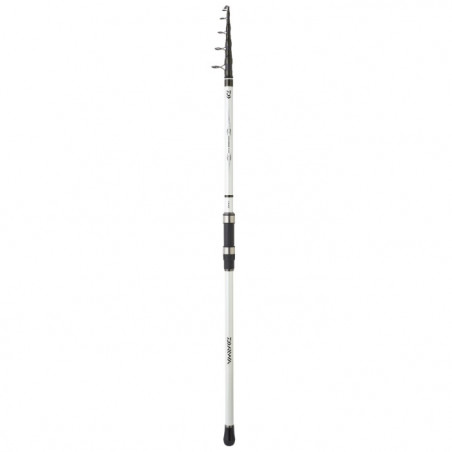 Canne Daiwa Triforce Buscle