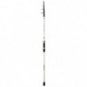 Canne Daiwa Triforce Buscle