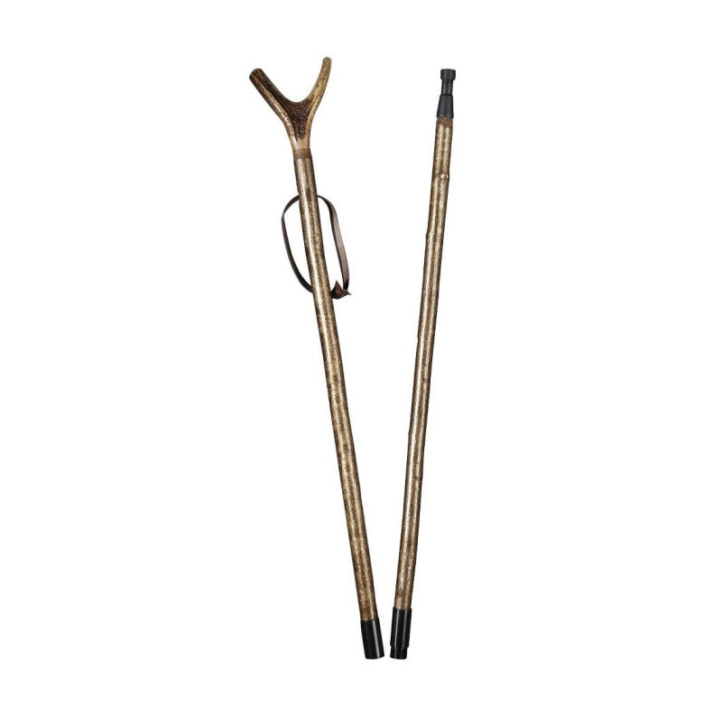 Canne de pirsch Gastrock