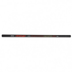 Canne Fighting Sensas Carpa 50
