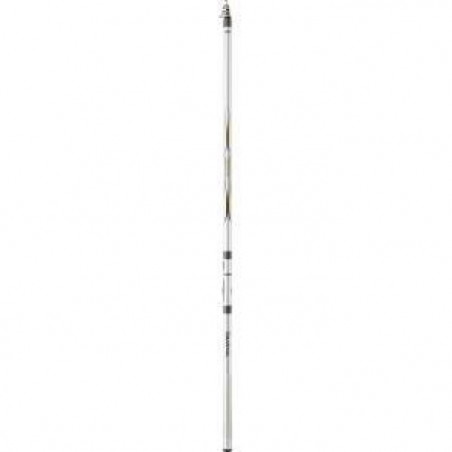 Canne Flotteur Téléscopique Daiwa Procater Iso