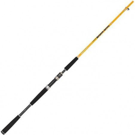 Canne Illex Element Rider X5 Yellow Devil