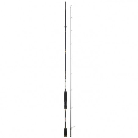 Canne leurre spinning Sakura Ionizer G2 Allround