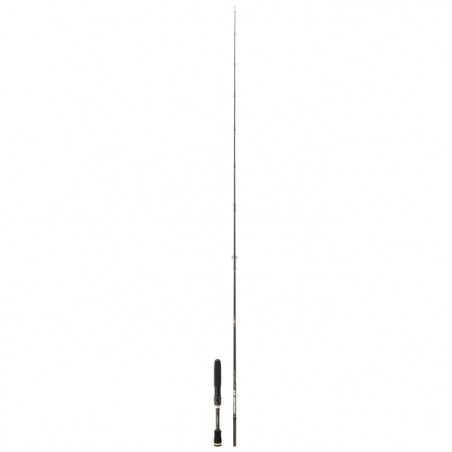 Canne leurre spinning Sakura Ionizer G2 Float Tube