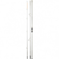 Canne mer Daiwa Crosscast