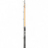 Canne Mer Daiwa Megaforce Boat