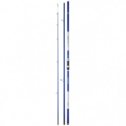 Canne mer Daiwa Shorecast S