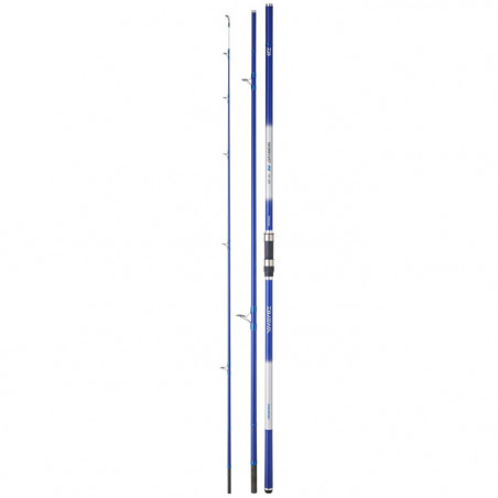 Canne mer Daiwa Shorecast S