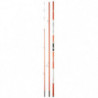 Canne mer Daiwa Shorecast X - 4.20 m