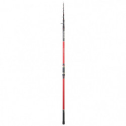 Canne mer Daiwa...