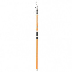 Canne mer Daiwa...