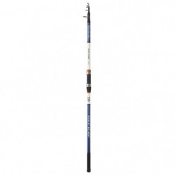Canne mer Daiwa...