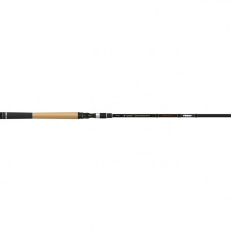 Canne Night Shadows B 220 H Swimbait Driver