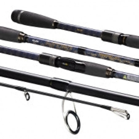 Canne Nitro S 225 Illex H Thunder Scale