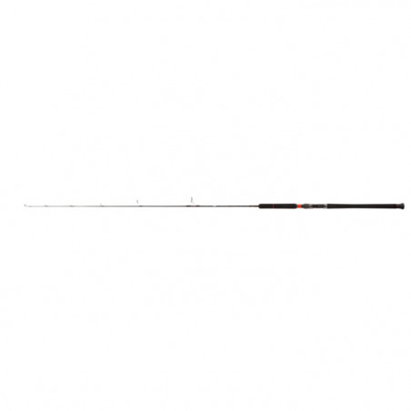 Canne Penn Conflict Jigging