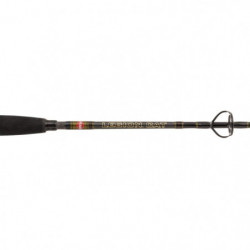 Canne Penn Legion Cat Gold Belly Pump