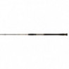Canne Penn Legion Cat Gold Spin