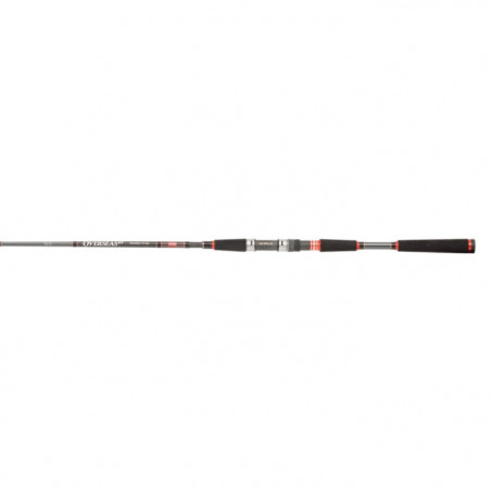 Canne Penn Overseas XT Inshore