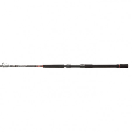 Canne Penn Overseas XT Jigging