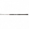 Canne Penn Overseas XT Jigging