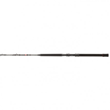 Canne Penn Overseas XT Trolling