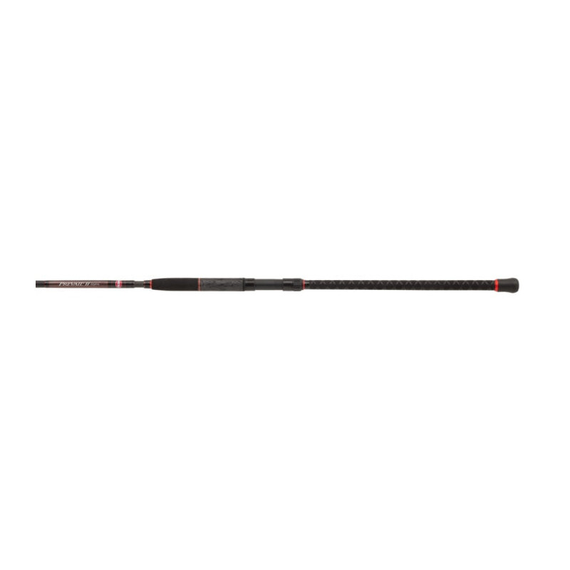 Canne Penn Prevail II Uptide