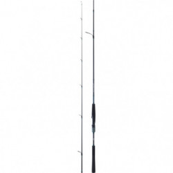 Canne Rockfishing Daiwa Saltist AGS Rockfish