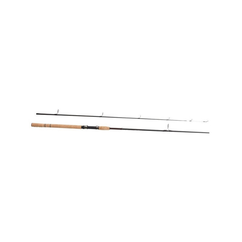 Canne Shakespeare Ugly Stik Elite Spin