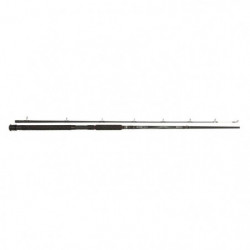 Canne spinning Abu Garcia...