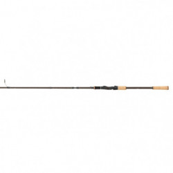 Canne spinning Abu Garcia...