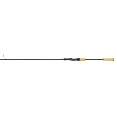 Canne spinning Abu Garcia Diplomat X