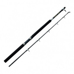Canne Spinning Abu Garcia...