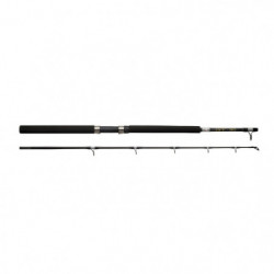 Canne Spinning Abu Garcia GT boat