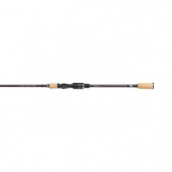 Canne spinning Abu Garcia...