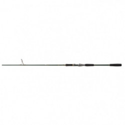 Canne spinning Abu Garcia...