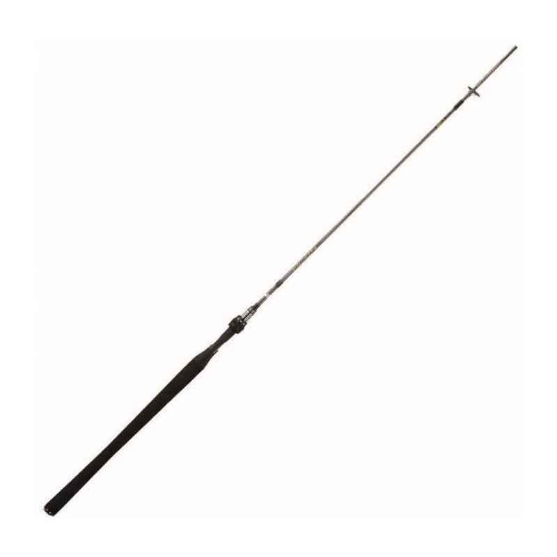 Canne Spinning Abu Garcia Victis - Destockage