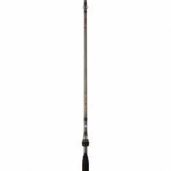 Canne Spinning Abu Garcia Victis - Destockage