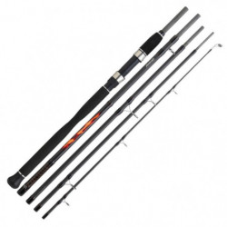 Canne Spinning Daiwa...