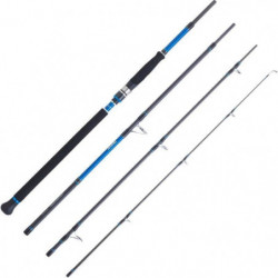 Canne Spinning Daiwa...