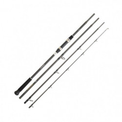 Canne Spinning Daiwa...