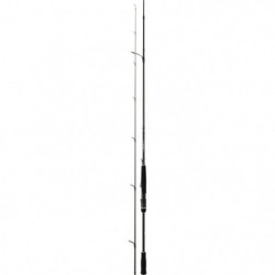 Canne Spinning Daiwa Prorex Ags
