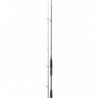 Canne Spinning Daiwa Prorex Ags