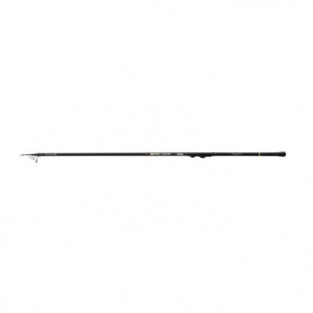 Canne Spinning Mitchell Epic MX2 Bombard