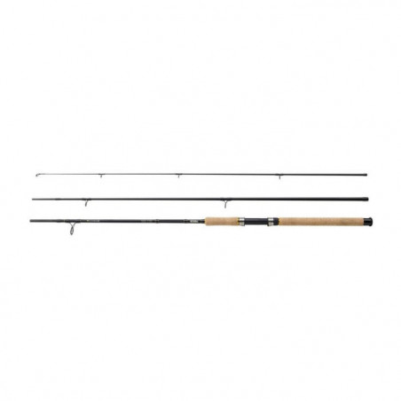 Canne Spinning Mitchell Epic MX2 Lake