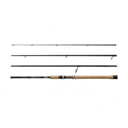 Canne Spinning Mitchell Epic MX2 VAIRON